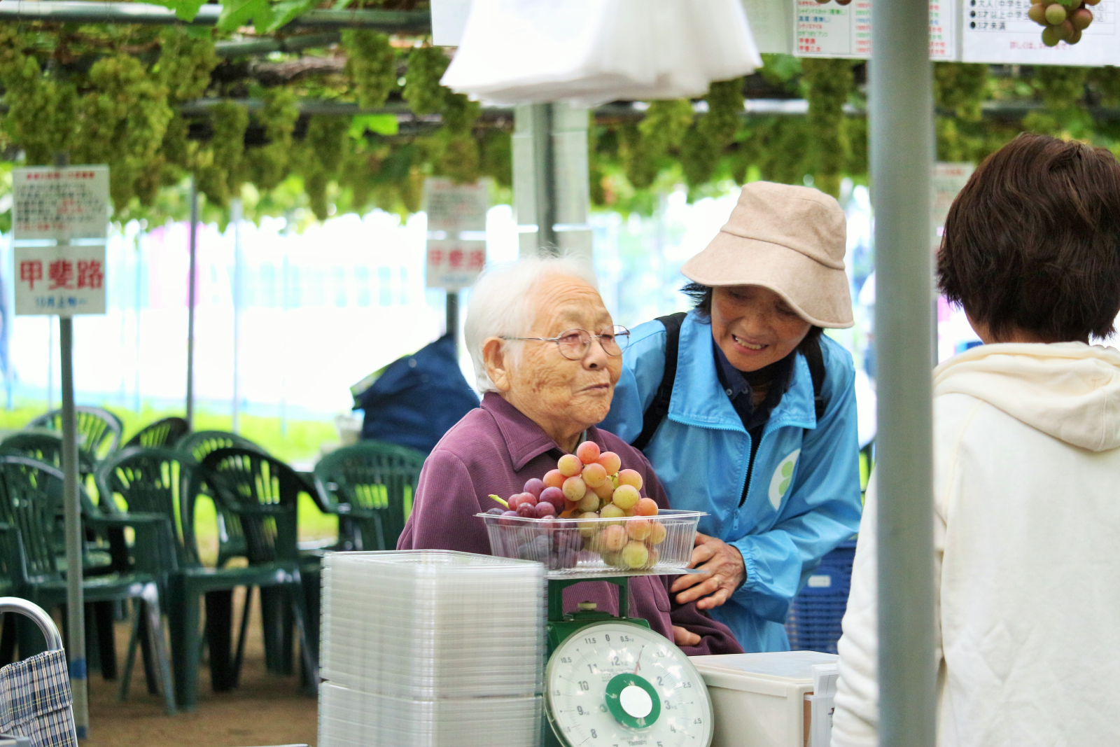 特養ぶどう狩り