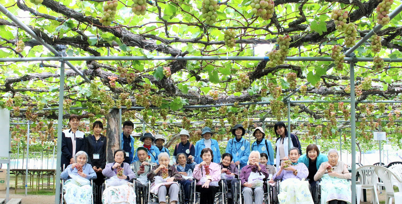 特養ぶどう狩り